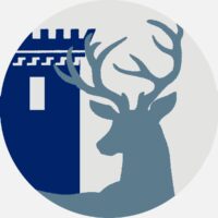 Les couleurs de la ville